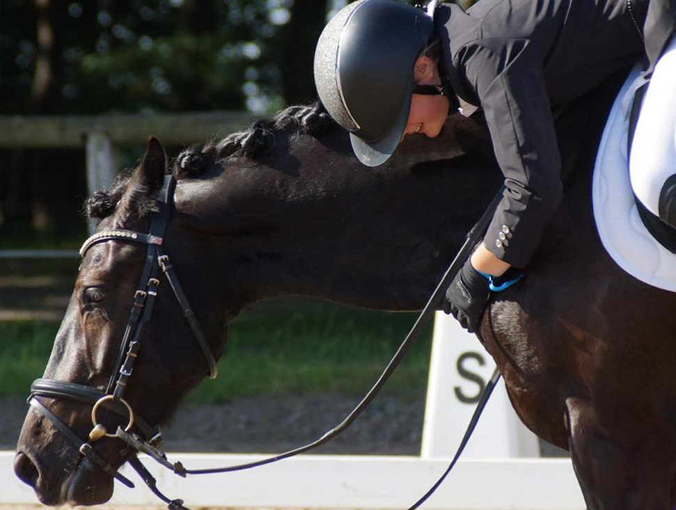 centre equestre, écurie de propriétaires, poney club, haras, école d'équitation , pensions pour chevaux , événements privés