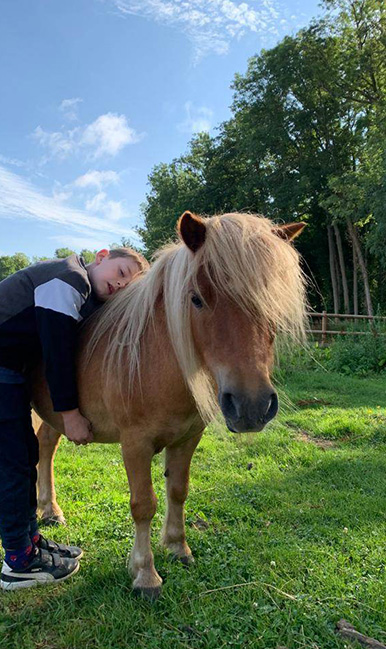 centre equestre, écurie de propriétaires, poney club, haras, école d'équitation , pensions pour chevaux , événements privés