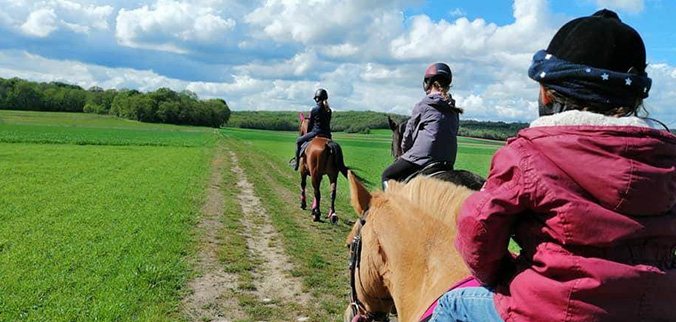 centre equestre, écurie de propriétaires, poney club, haras, école d'équitation , pensions pour chevaux , événements privés