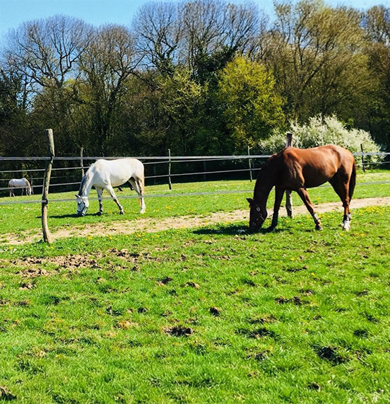 École d’équitation pour enfants à Milly-la-Forêt (91)