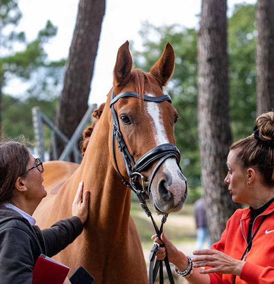 École d’équitation pour enfants à Milly-la-Forêt (91)