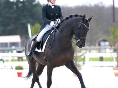 Pension pour chevaux Milly la Forêt