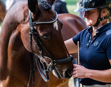 Centre équestre,Pension pour chevaux Milly la Forêt