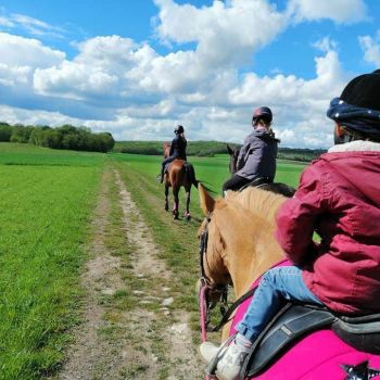 école d’équitation Milly la Forêt 