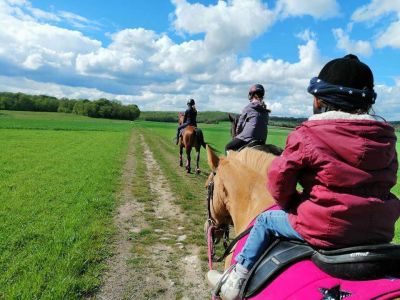 école d’équitation Milly la Forêt 